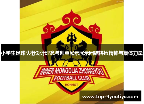 小学生足球队徽设计理念与创意展示展示团结拼搏精神与集体力量