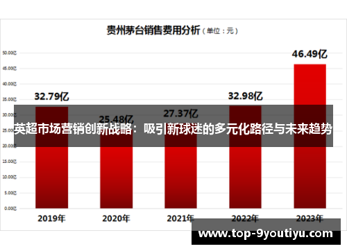 英超市场营销创新战略：吸引新球迷的多元化路径与未来趋势