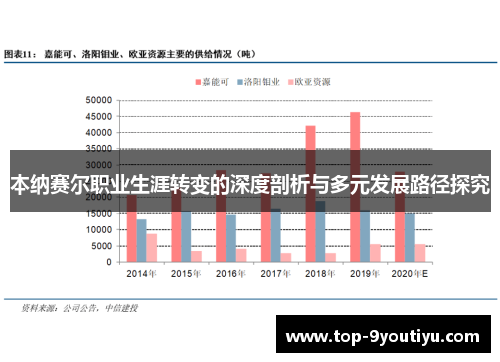 本纳赛尔职业生涯转变的深度剖析与多元发展路径探究