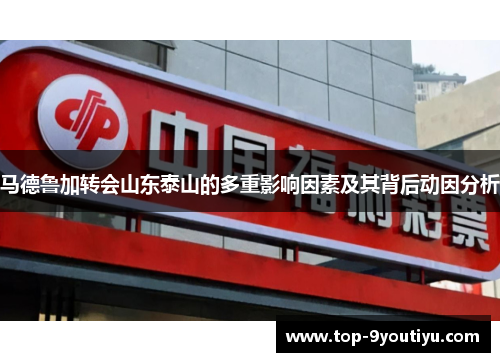 马德鲁加转会山东泰山的多重影响因素及其背后动因分析