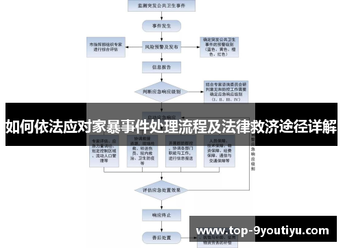 如何依法应对家暴事件处理流程及法律救济途径详解