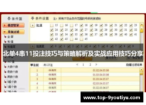 北单4串11投注技巧与策略解析及实战应用技巧分享